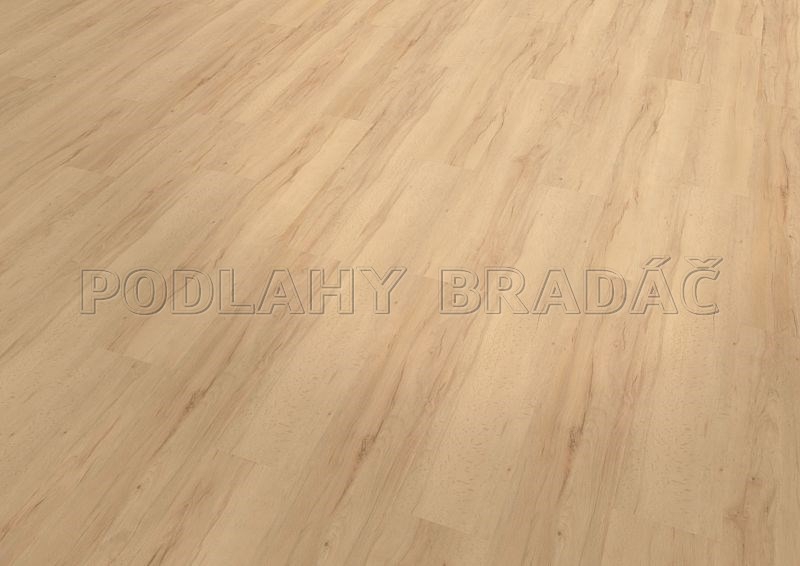 Conceptline 3029 Lakeshore Beech