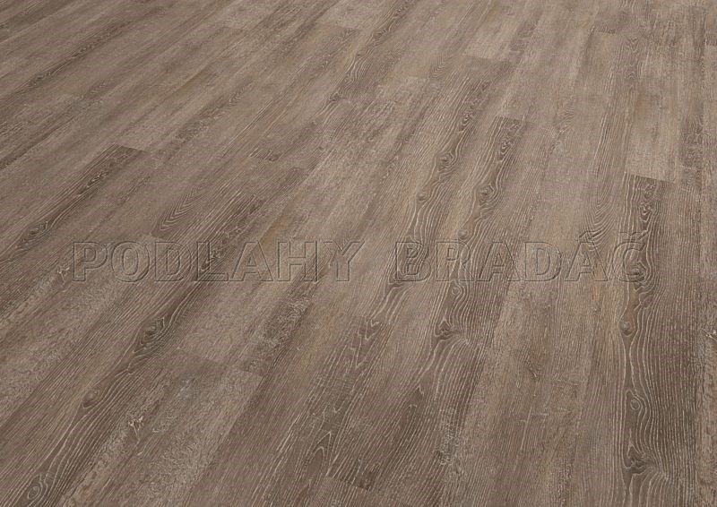 Conceptline 3038 Limed Oak Brownish