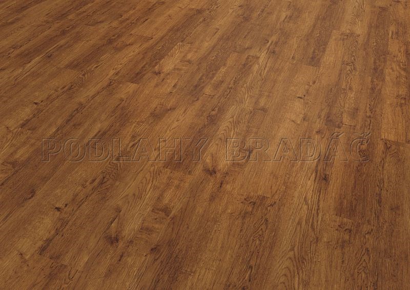 Conceptline 3046 Rustic Oak Gold