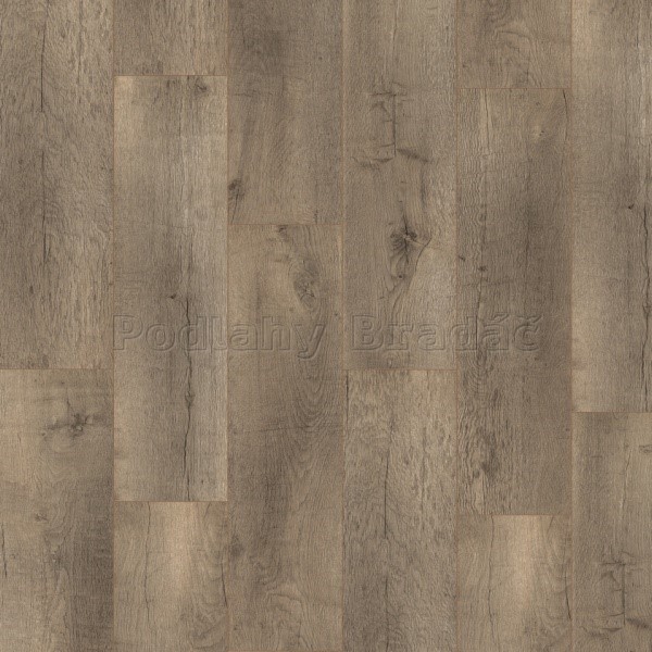 Egger Pro Design Large EPD002 Dub surový stříbrný