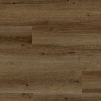 Expona Domestic C14 5838 Castel Oak