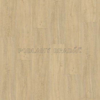 DESIGNLINE 400 Wood XL Kindness Oak Pure DB00125