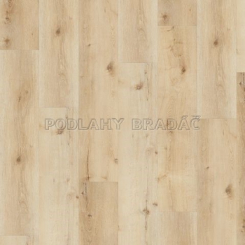 DESIGNLINE 400 Wood XL Luck Oak Sandy DB00127