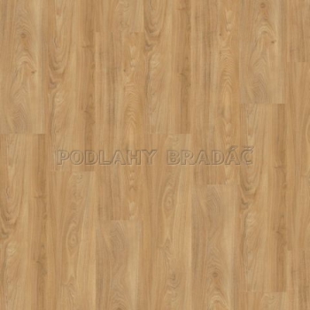 DESIGNLINE 400 WOOD Summer oak golden MLD00118