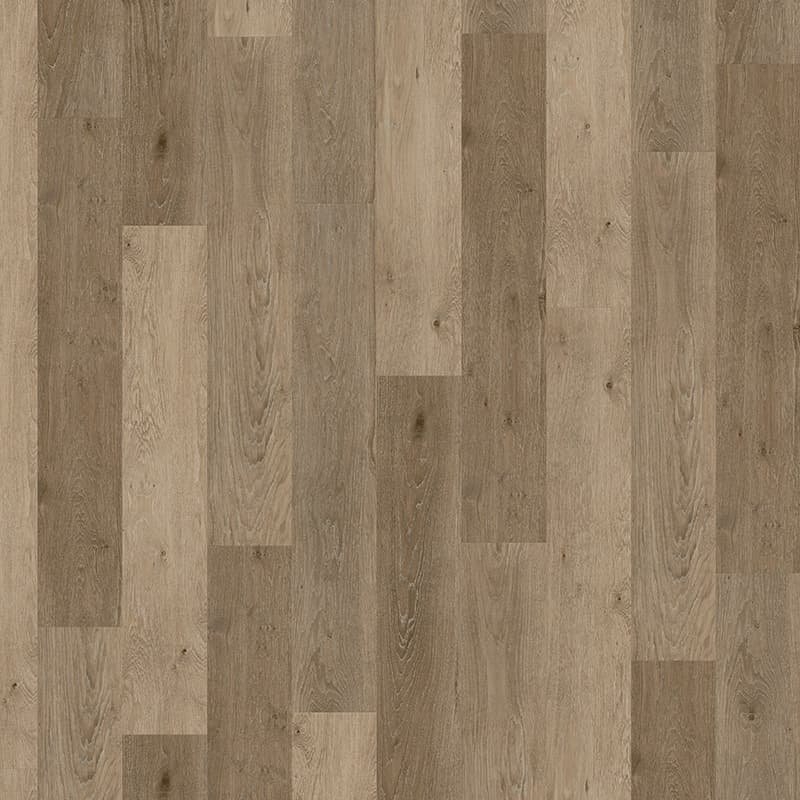 Expona Domestic 5879 Vibrant Oak