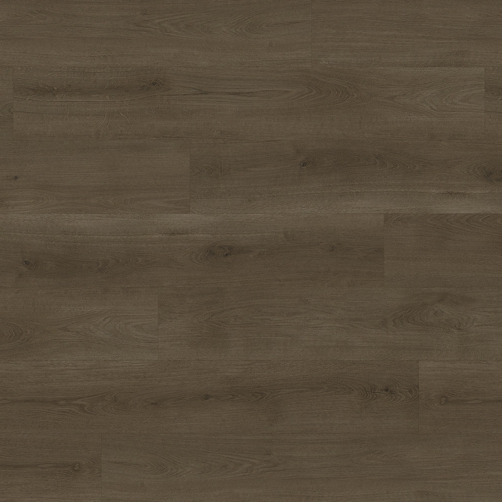 Spotlight Premium 2,5mm EWH-7006 Dub Pacific V4