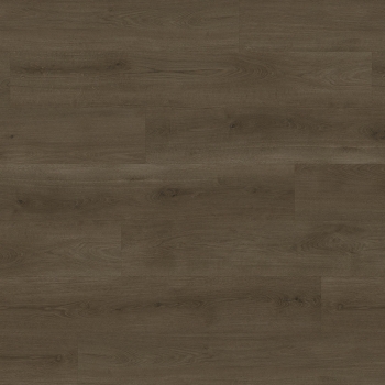Spotlight Premium 2,5mm EWH-7006 Dub Pacific V4