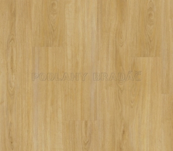 Fatra Thermofix PRO Wood Dub přírodní 14174-1