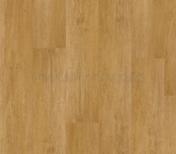 Fatra Thermofix PRO Wood Dub original 14110-2