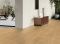 Gerflor Creation 40 Lounge Oak Golden - EIR  1271
