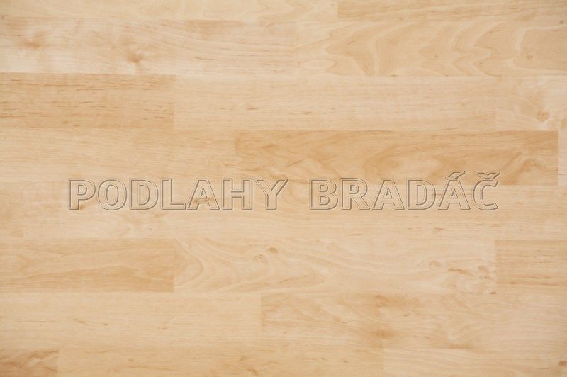 Lino Fatra Domo 4100-5